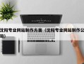 定边沈阳专业网站制作方案（沈阳专业网站制作公司）