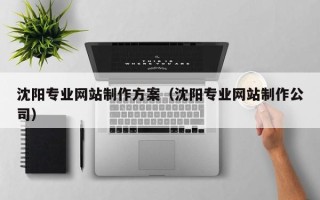 定边沈阳专业网站制作方案（沈阳专业网站制作公司）